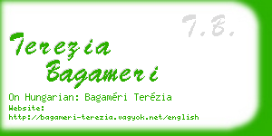 terezia bagameri business card