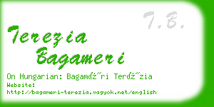 terezia bagameri business card